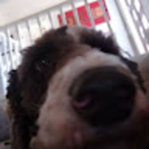 Meet your Posher, Mackenzie